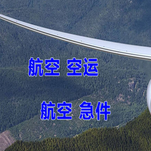 高崎机场快运快递-选东方航空和上海航空