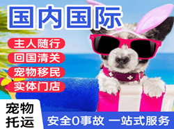高崎机场快运国际宠物托运 【国